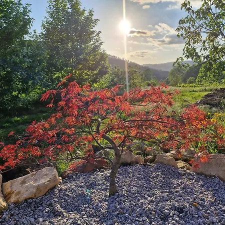 4-5 Star Ecoresort Portobali 4*