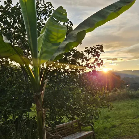 4-5 Star Ecoresort Portobali