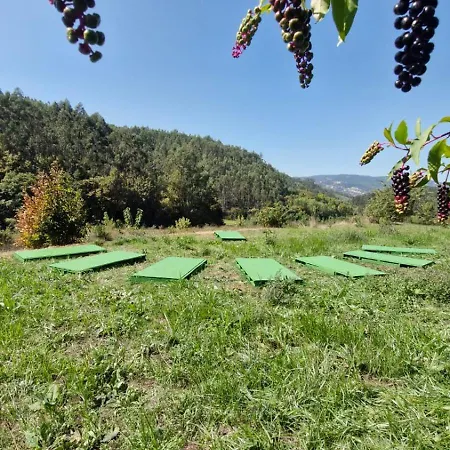 4-5 Star Ecoresort Portobali Jugueiros