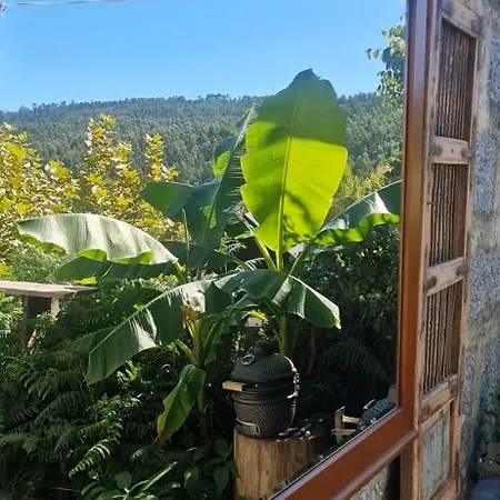 Bed & Breakfast 4-5 Star Ecoresort Portobali Jugueiros