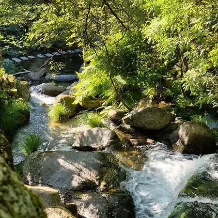 4-5 Star Ecoresort Portobali 4* Jugueiros