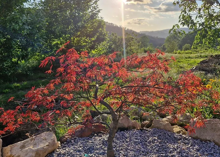 4-5 Star Ecoresort Portobali 4*