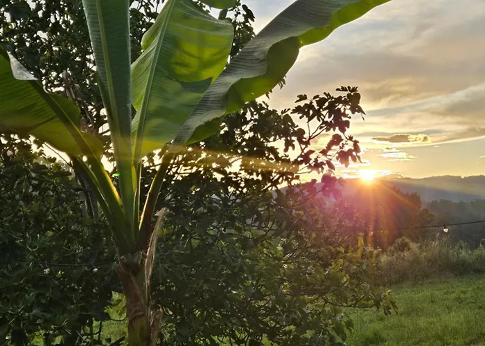 4-5 Star Ecoresort Portobali