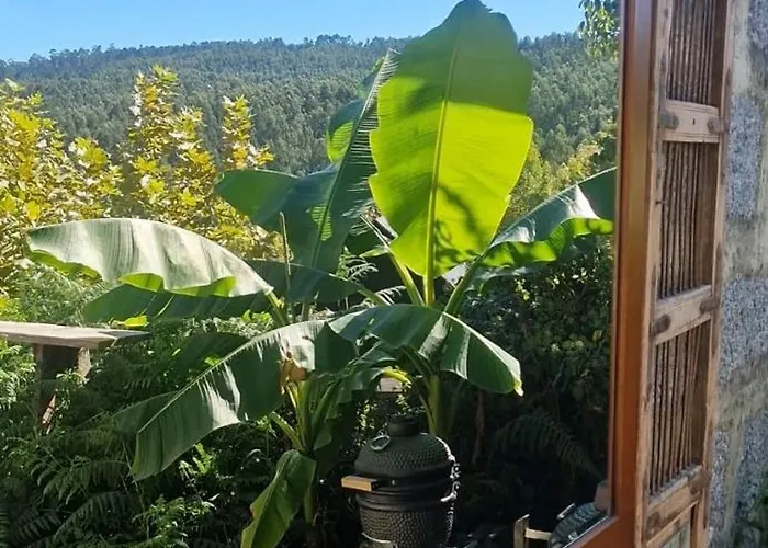 Alojamento de Acomodação e Pequeno-almoço 4-5 Star Ecoresort Portobali Jugueiros